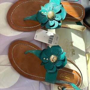 Coach sandals
